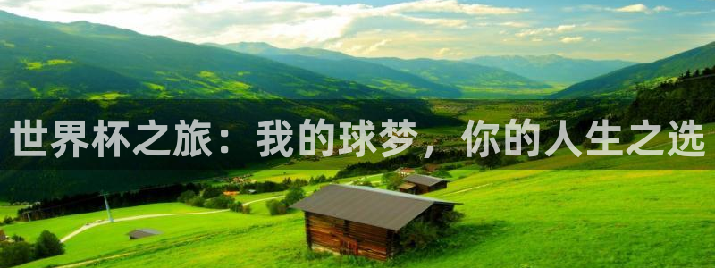 美洲杯直播:世界杯之旅:我的球梦,你的人生之选