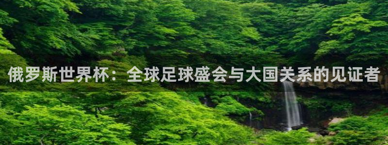 世预赛欧洲赛程表：俄罗斯世界杯：全球足球盛会与大国关系的见证者