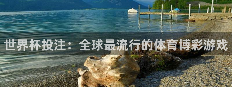 足球世界杯预选赛：世界杯投注：全球最流行的体育博彩游戏