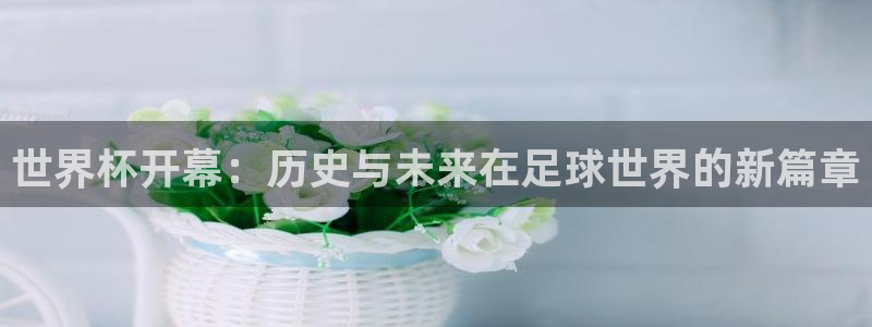 2026世界杯:世界杯开幕:历史与未来在足球世界的新篇章