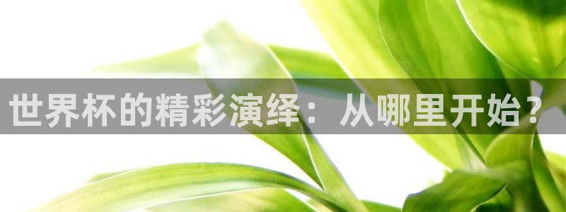 世界杯直播在线观看入口：世界杯的精彩演绎：从哪里开始？