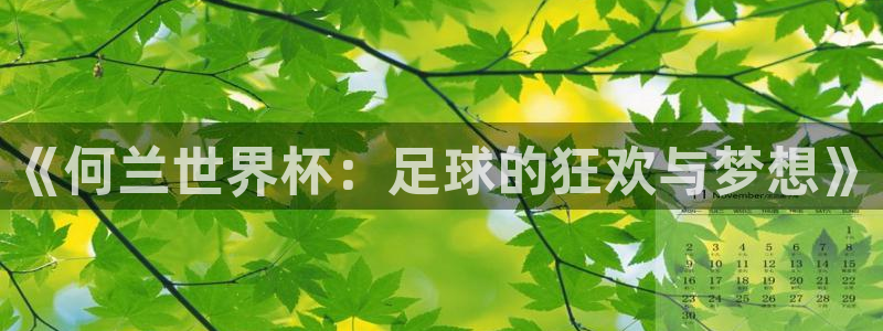 2026世界杯赛程时间表最新：《何兰世界杯：足球的狂欢与梦想》