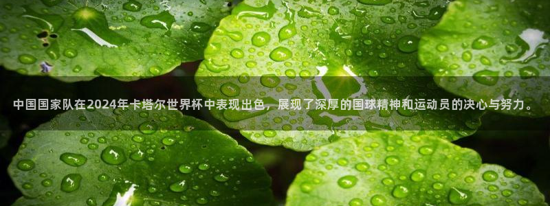 2006世界杯：中国国家队在2024年卡塔尔世界杯中表现出色，展现了深厚的国球精神和运动员的决心与努力。