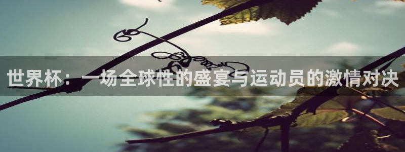 世界杯预选赛：世界杯：一场全球性的盛宴与运动员的激情对决