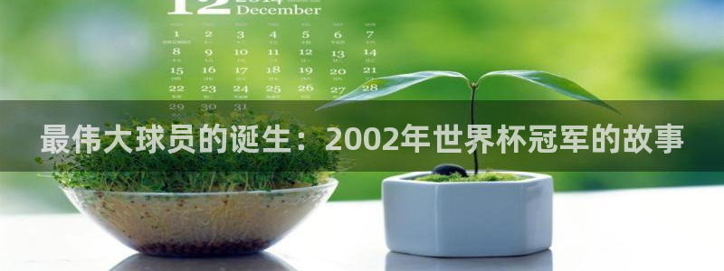 足球世界杯预选赛：最伟大球员的诞生：2002年世界杯冠军的故事