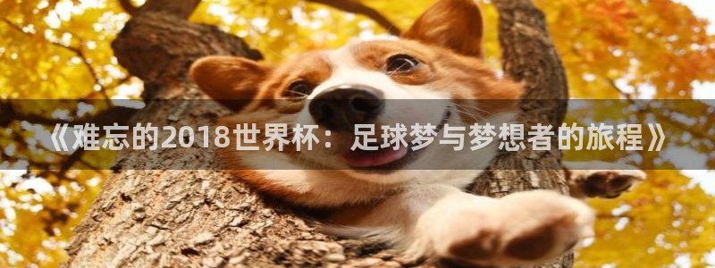 2026世界杯亚洲预选赛赛程：《难忘的2018世界杯：足球梦与梦想者的旅程》