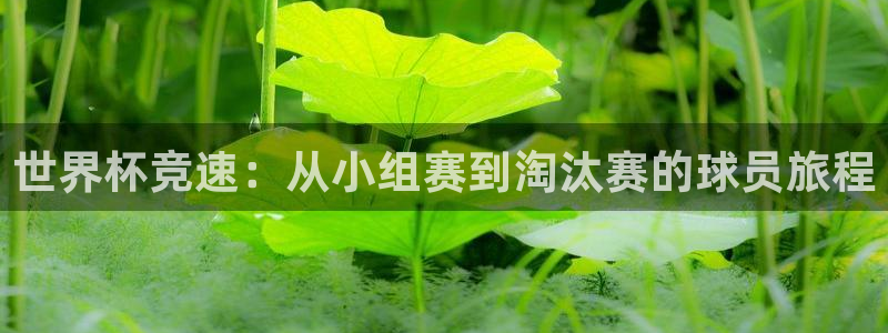 2026世界杯买球：世界杯竞速：从小组赛到淘汰赛的球员旅程
