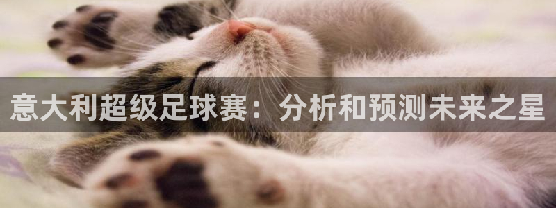 2026世界杯官网：意大利超级足球赛：分析和预测未来之星