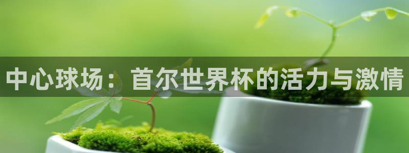 世预赛赛程表：中心球场：首尔世界杯的活力与激情