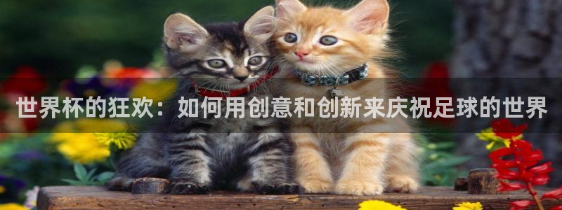 足球世界杯2026：世界杯的狂欢：如何用创意和创新来庆祝足球的世界