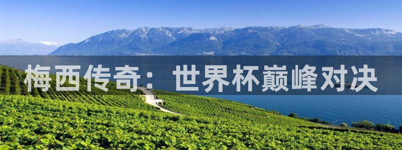 2026 世界杯：梅西传奇：世界杯巅峰对决